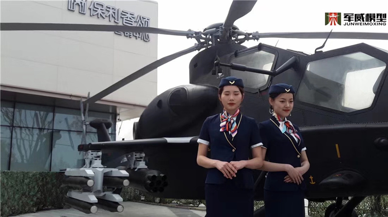 綿陽軍威模型有(yǒu)限公(gōng)司